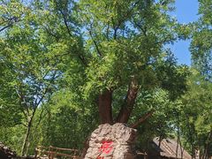 -红嫂家乡旅游区