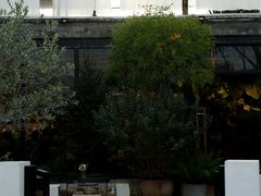 -自由生长植物工作室(深港花卉中心店)