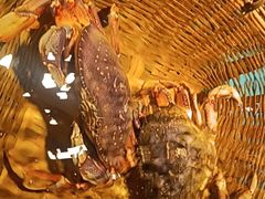 -拉完海鲜大排档(温岭店)