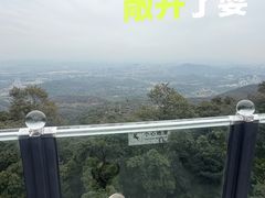 -黄埔油麻山森林公园