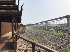 -呀路古热带植物园