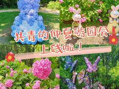 -上海共青森林公园