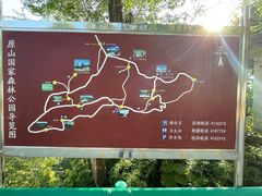 -原山国家森林公园