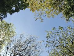 -白石龙音乐公园
