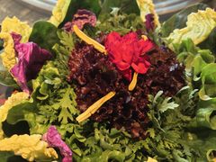 -慢丽江·云南野生菌土鸡锅(西山店)