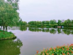 -水八仙生态园