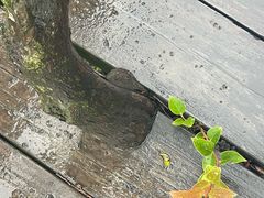 -册子岛月亮湾景区