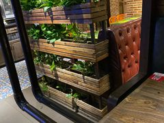 -辛香汇(大华第一坊店)