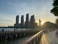 -深圳湾公园(南山区)