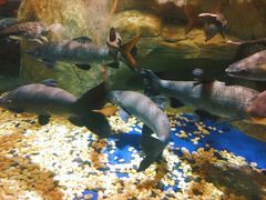 -成都浩海立方海洋公园