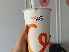 茉香奶绿-CoCo都可(香港名都店)