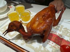 爆汁红烧鸽皇-大鸽饭(岗顶店)