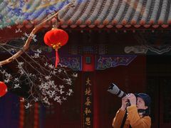 -碑林公园