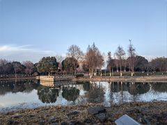 -苏州湾体育公园