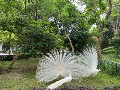 -宁波野生动物园