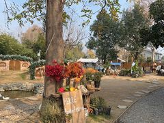 -HERRE·FARM 赫尔露营农场·团建聚会包场