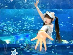 -海合安武汉极地海洋公园