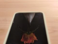 -鮨椿(瑞虹天地太阳宫店)