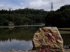 -深圳仙湖植物园