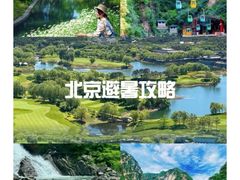 -龙庆峡风景区