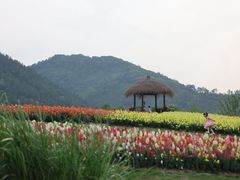 -径山花海