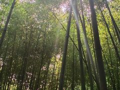 -竹泉村旅游度假区