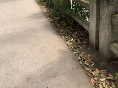 -亮佳鸿华二手市场