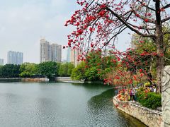 -东山湖公园