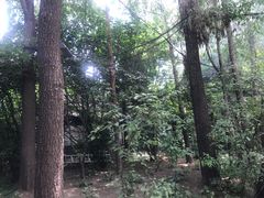 -大鹅岛绿色生态美食园