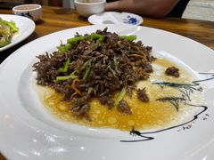 猫爪菇炒牛肉-下梅人家土菜馆(历史文化餐厅度假区店)