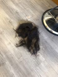 -Lumiere hair 路米日系美发