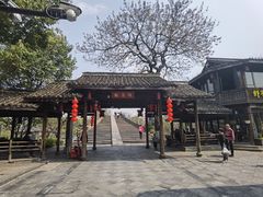 -运河游船(武林门码头)