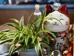 -古耳咖啡(北锣店)