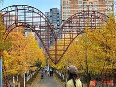 -长白岛森林公园