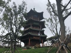 -迎泽公园