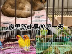 -三圣花乡旅游区