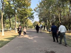 -盘龙城国家考古遗址公园