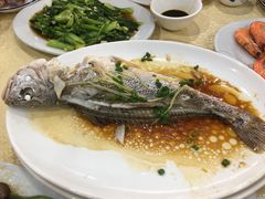 -源海渔村·现捞海鲜(大角湾店)