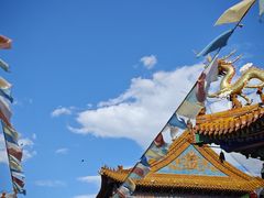 -大召无量寺