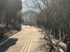 -佛慧山