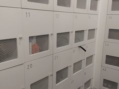 -乐刻运动健身(外环路店)