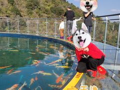 -牛鱼嘴原始生态风景区