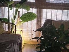-施奈儿.洗头頭療.按摩SPA.采耳(上梅林店)