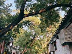 -丽江庭院·云南野生菌·海鲜火锅(鼓楼四合院店)