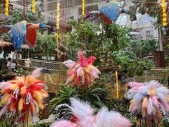 -正佳雨林生态植物园