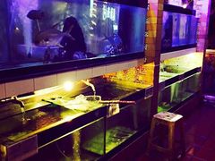 -越海渔村