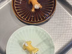 -柴务处·柴犬主题狗咖