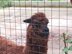 -广东花都香草世界旅游度假区