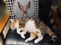 -咖法森林·咖啡  酒吧(天河店)