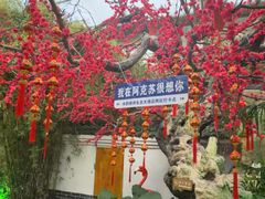 -水韵绿洲生态大酒店